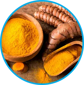 Himalayan Turmeric botanical ingredient in Venus Factor™